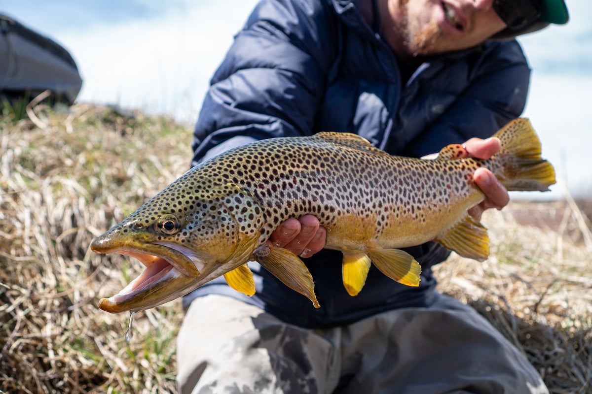 fishing-outlook-for-may-cutthroat-anglers