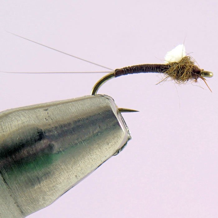 Foam Wing Emerger – Cutthroat Anglers - Main Image