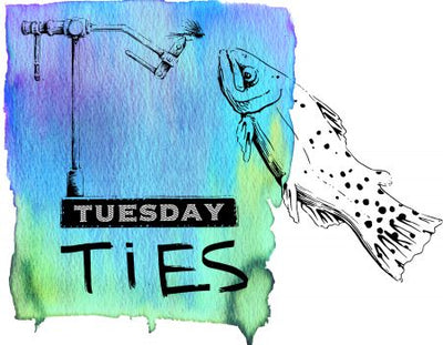 Tuesday Ties: Perdigon Freestyle