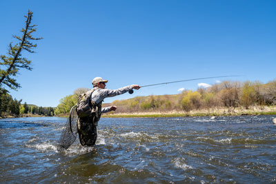 Reed's Mid-July Fishing Outlook