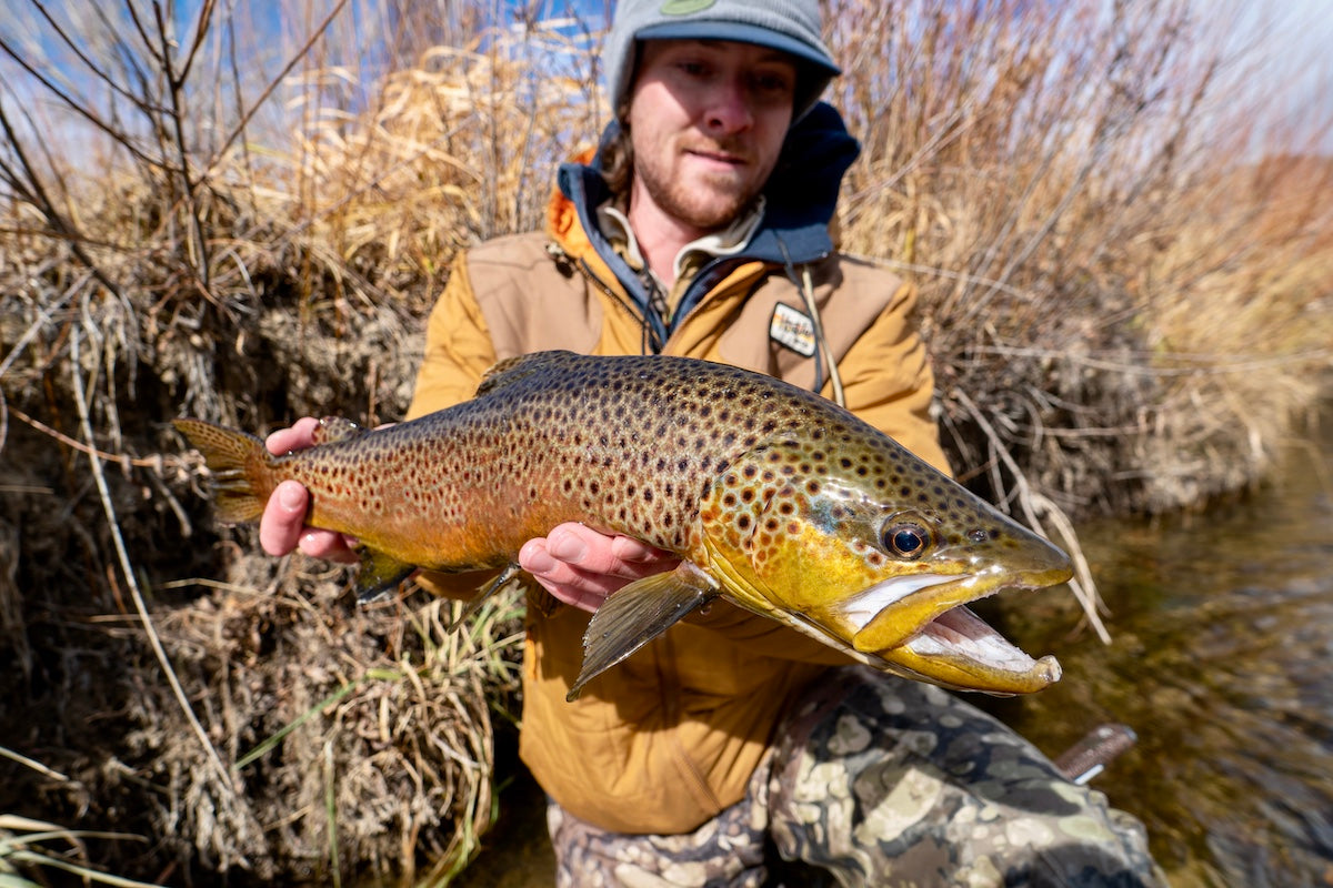 Harlan's Fishing Outlook for February – Cutthroat Anglers