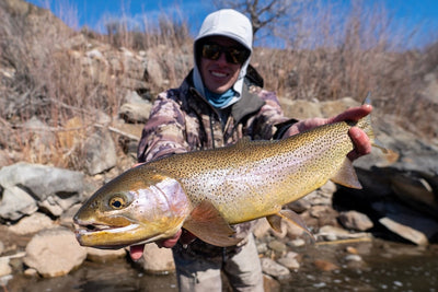 Little Snow, Lots of Fish
