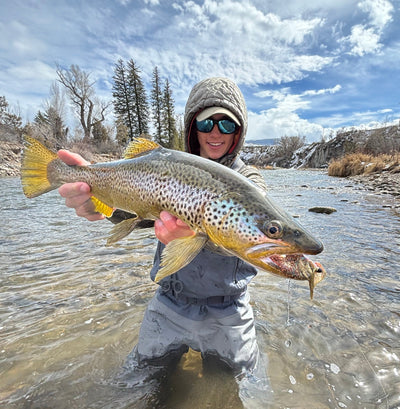 SPRING UPDATE: "Secret" Season of Pre-Runoff Fly Fishing