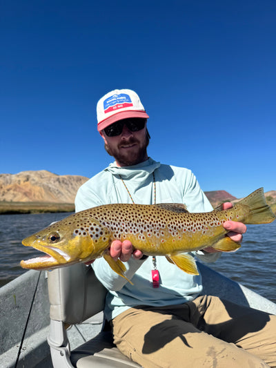 Harlan's Early Fall Fishing Update