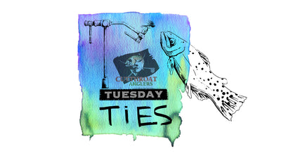 Tuesday Ties:  The UV Midge with Trent Jones