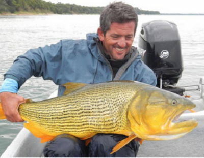 Bucket List Trip: Golden Dorado on the Fly in Argentina