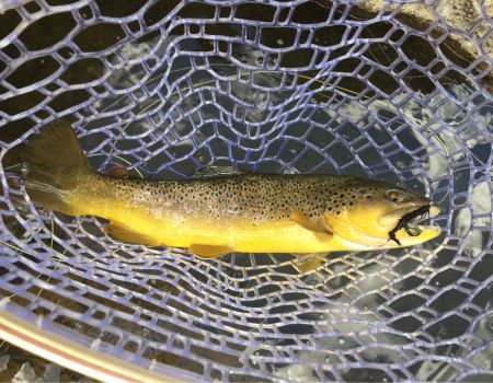 A GUIDE TO STREAMER FISHING - BY NICK FREEMAN – Cutthroat Anglers