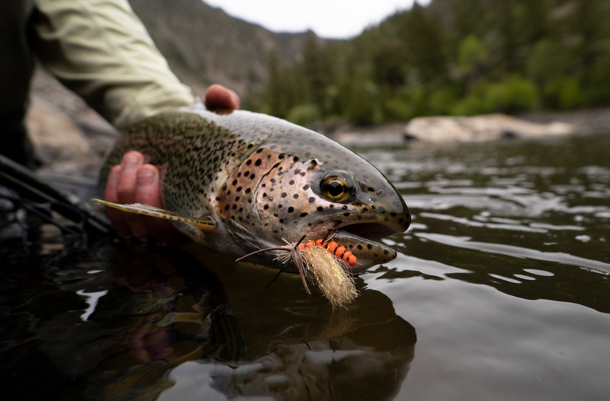 Cutthroat Anglers Fly Fishing, Pro Shop and Guide Service