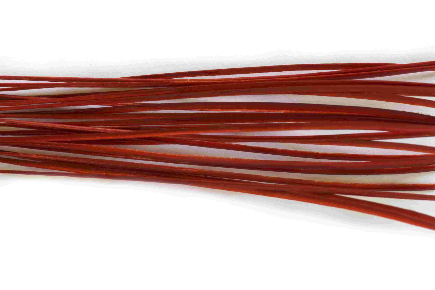 Stripped Peacock Quills