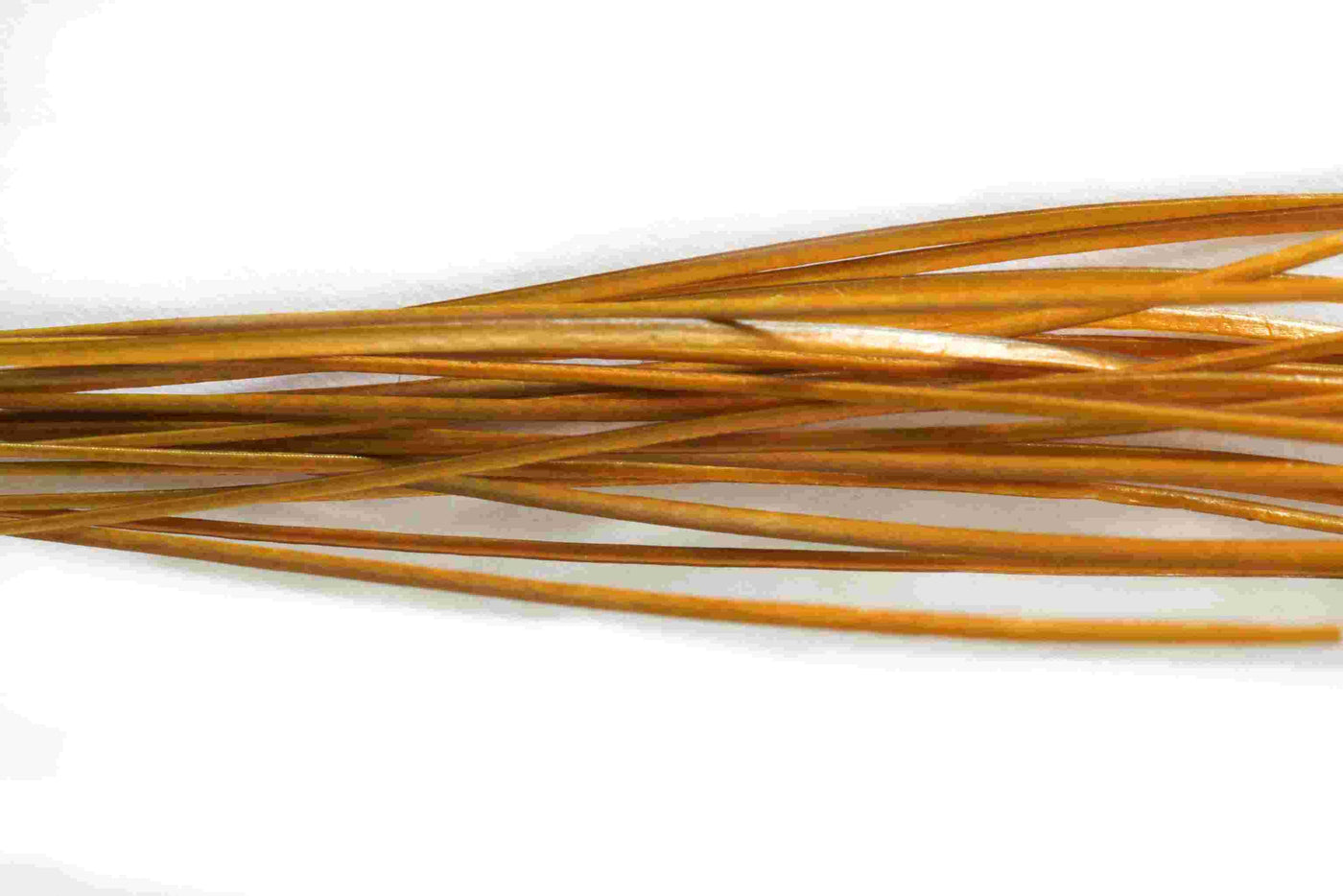 Stripped Peacock Quills