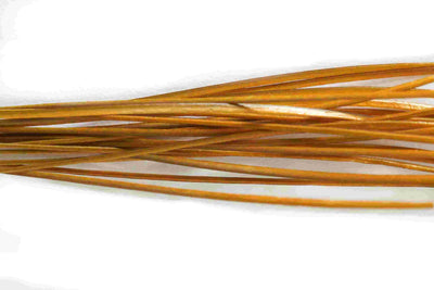Stripped Peacock Quills