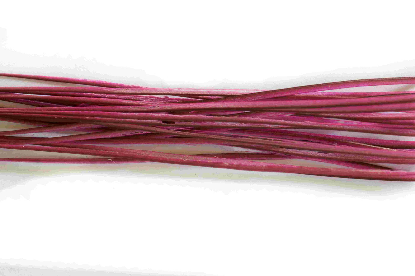 Stripped Peacock Quills