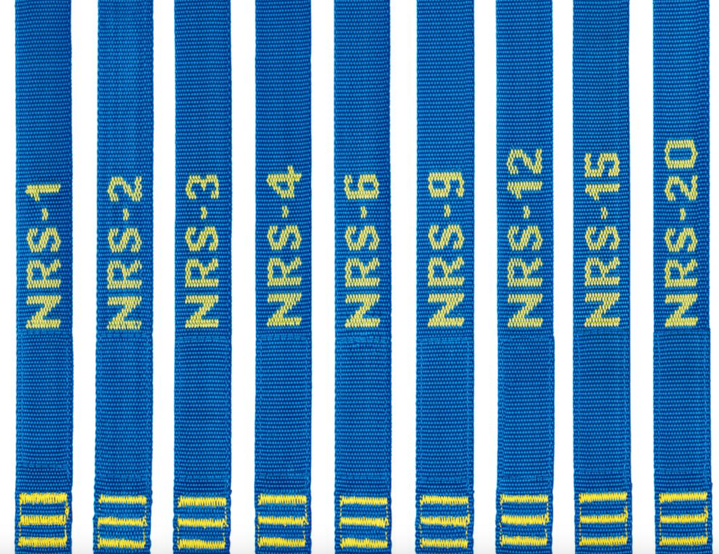 NRS Heavy Duty Tie-Down Straps Iconic Blue