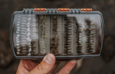 Tacky Pescador Medium Fly Box Clear