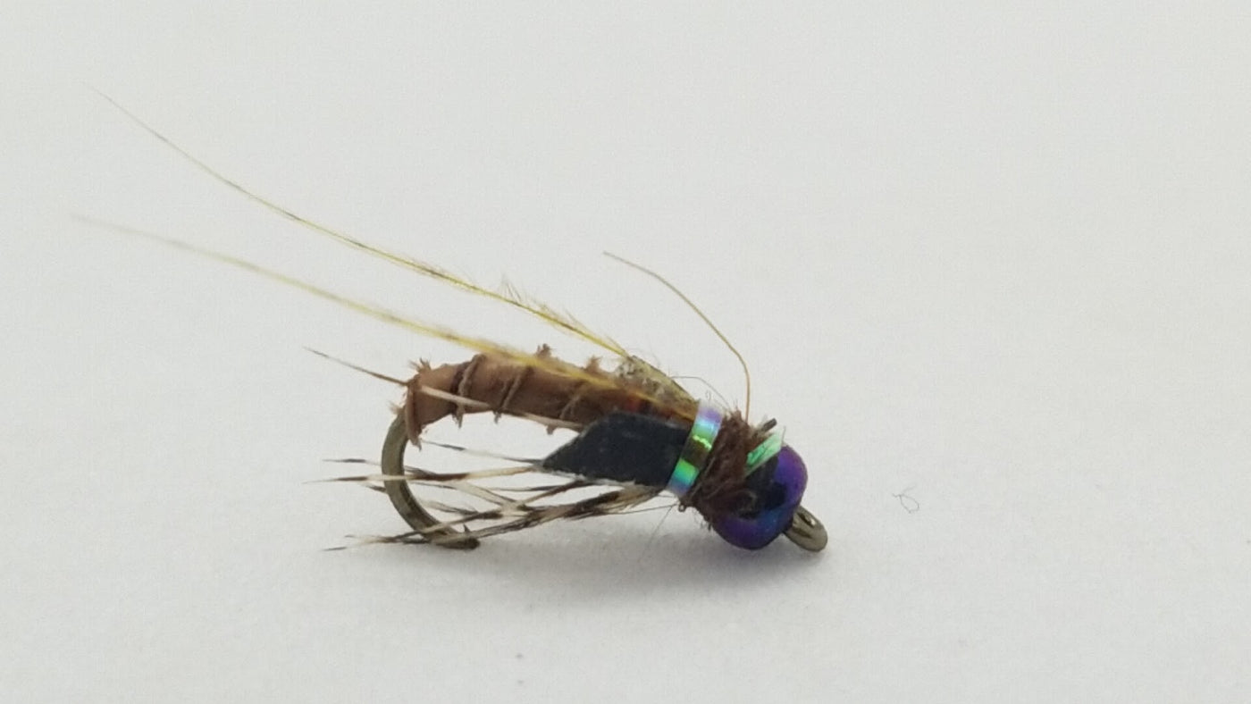 Little Brown Bug, Sz 16