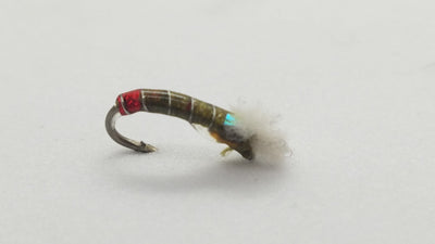 Rowley’s Clearwater Pupa