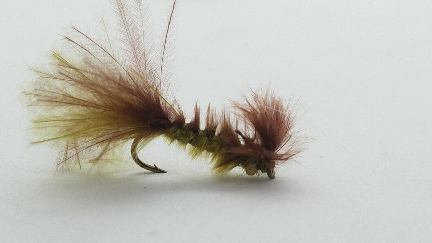No Name Damsel Nymph Olive/Brown Size 12