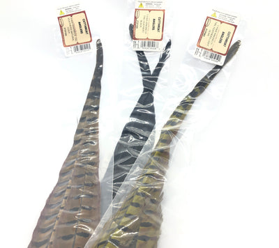 Wapsi 1 Pair Ringneck Pheasant Tail Feathers