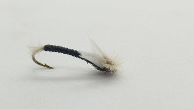 Stalcup’s Chironomid