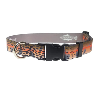 Rep Your Water Dog Collar