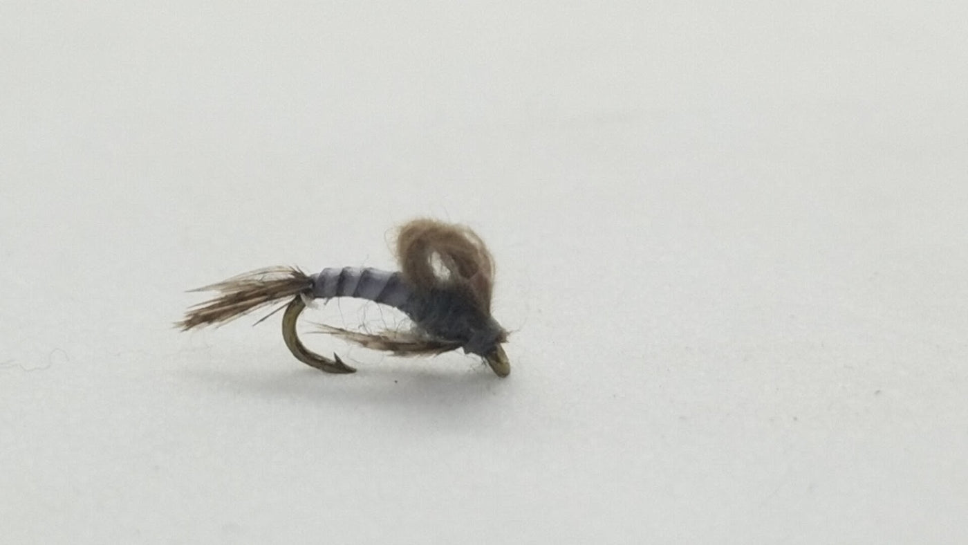 CDC Loop Wing BWO Gray Size 20