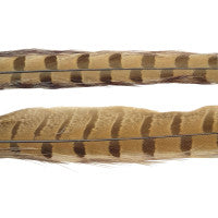 Wapsi 1 Pair Ringneck Pheasant Tail Feathers
