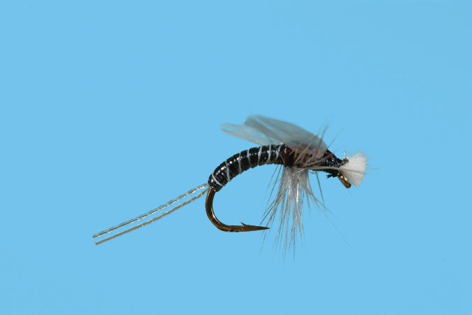 Stalcup's Hatching Midge