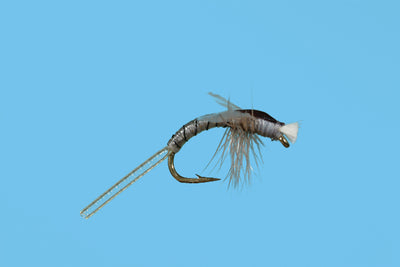 Stalcup's Hatching Midge
